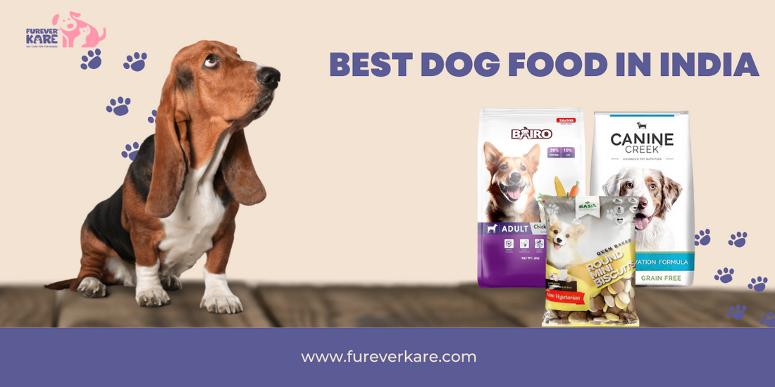 Best Dog Food in India