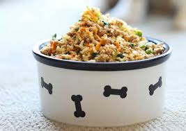 Indian Homemade Khichdi for Dogs
