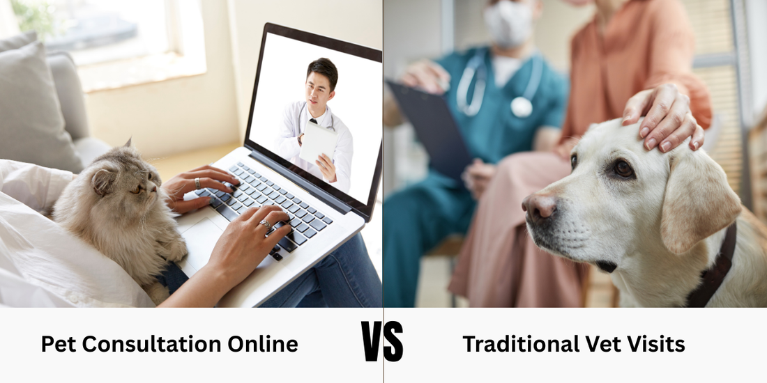 Pet Consultation Online vs Traditional Vet Visits
