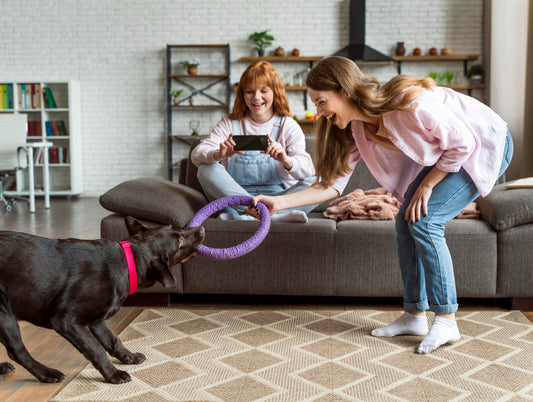 Is My Pet Bored? Signs of Boredom & How to Keep Them Engaged