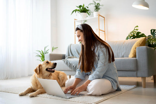 From Zoomies to Zzzs: What Your Dog Really Needs Each Day