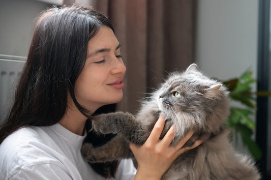 Why Your Cat Ignores You (And What She’s Actually Saying)