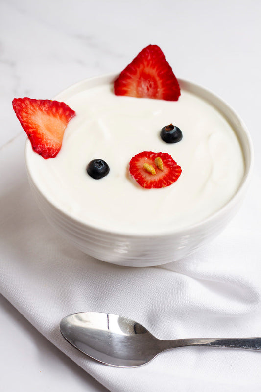 Chicken & Curd Smoothie for Cats