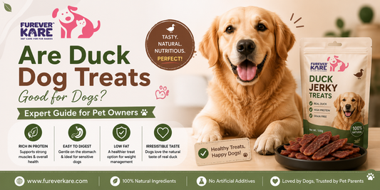 duck dog treat