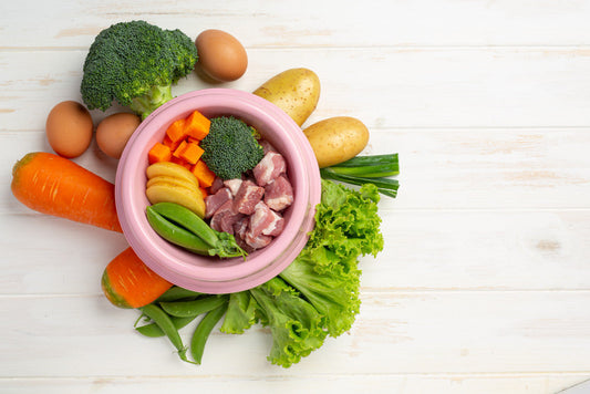 Safe Vegetables You Can Feed Your Dog