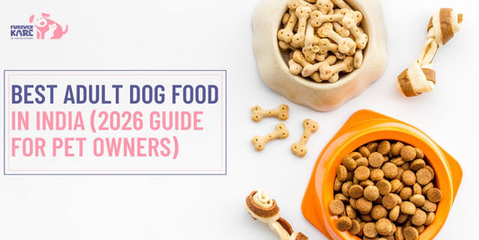 Adult Dog Food in India