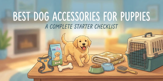 Dog Accessories for Puppies