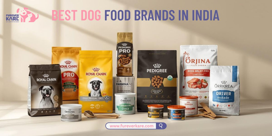 Best Dog Food Brands in India