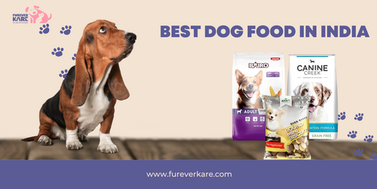 Best Dog Food in India