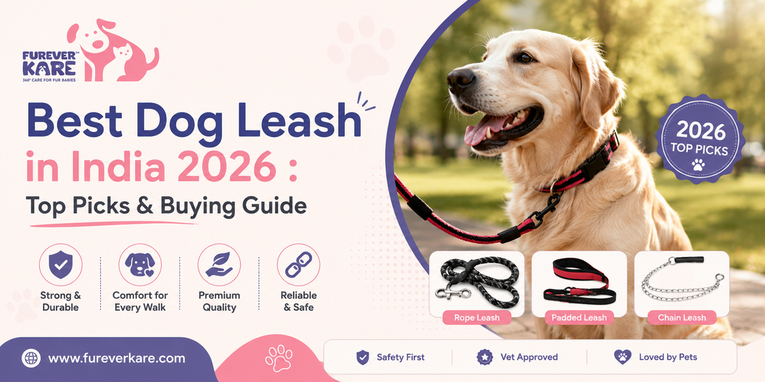 best dog leash india