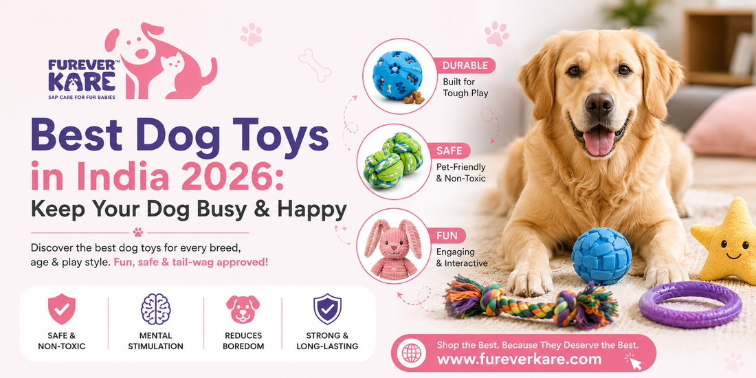 dog toys india
