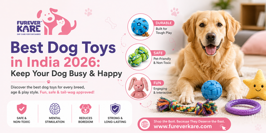 dog toys india