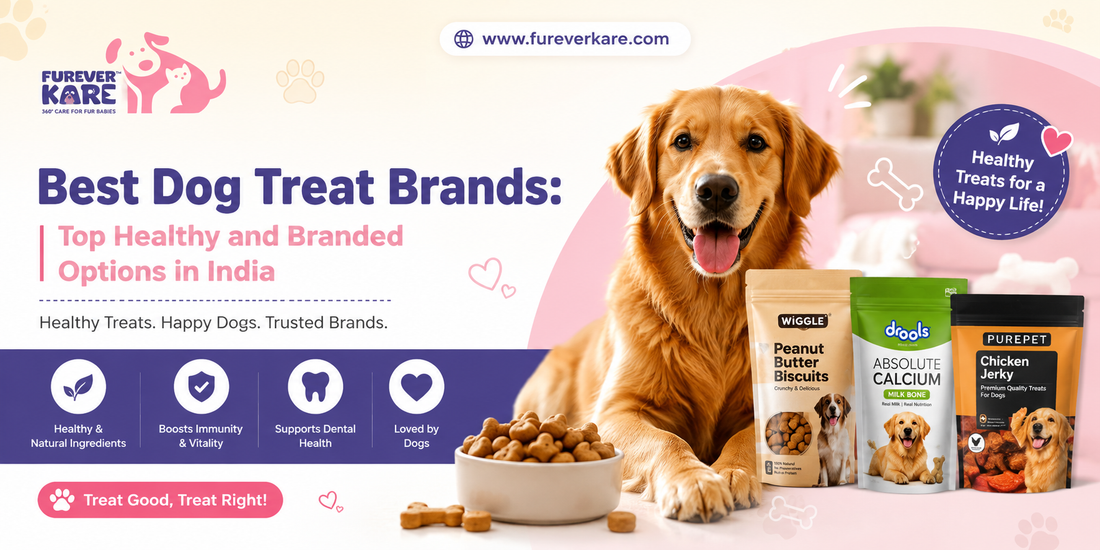 Best Dog Treat Brands