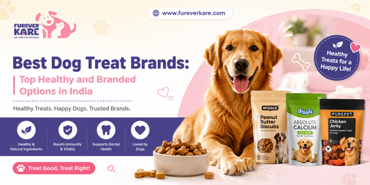 Best Dog Treat Brands