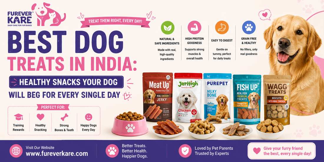 best dog treats India