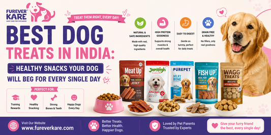 best dog treats India