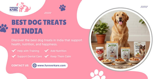 Best Dog Treats in India