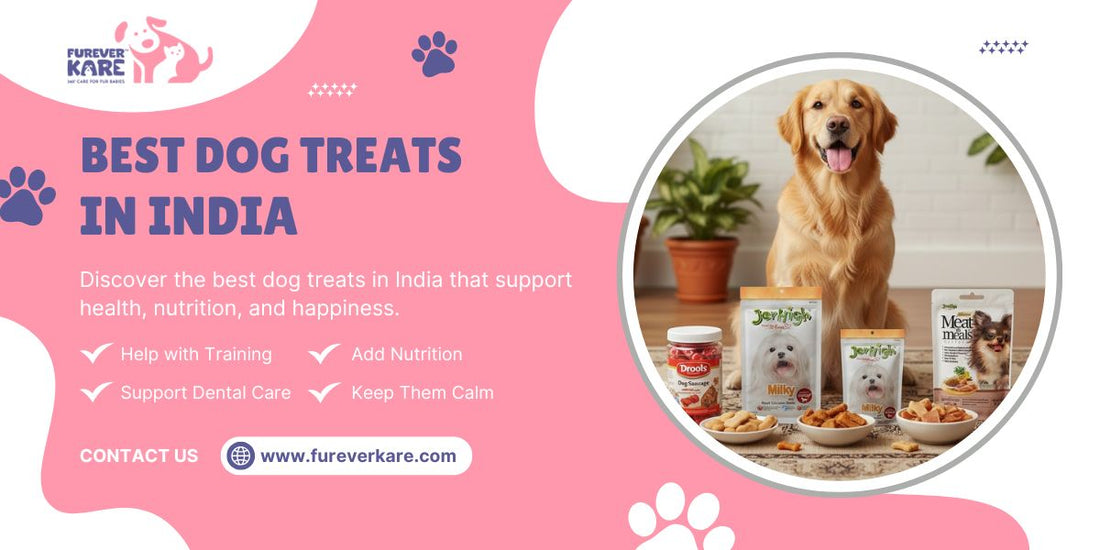 Best Dog Treats in India