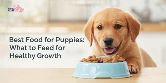 Best Food for Puppies