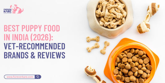 Best Puppy Food in India