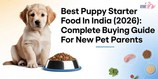 Best Puppy Starter Food in India 