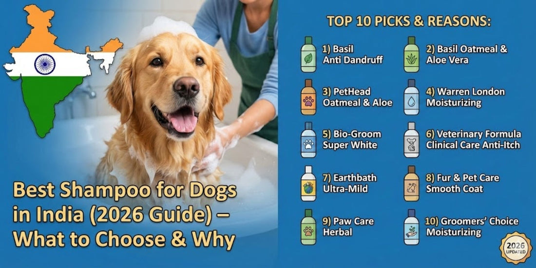 Best Shampoo for Dogs in India 