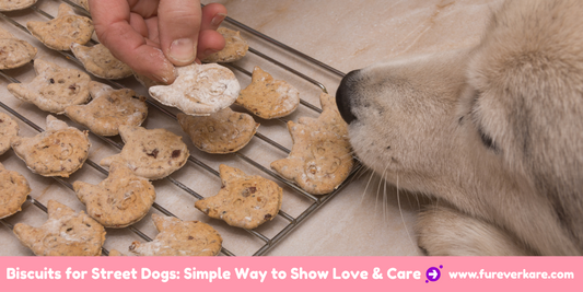 Biscuits for Street Dogs
