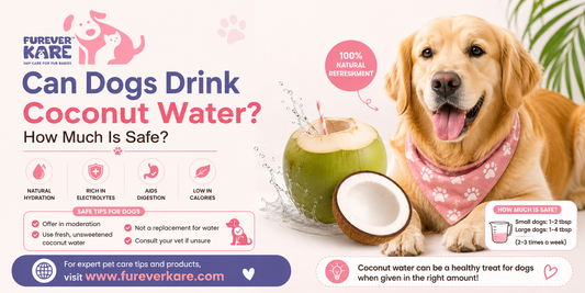 Can Dogs Drink Coconut Water