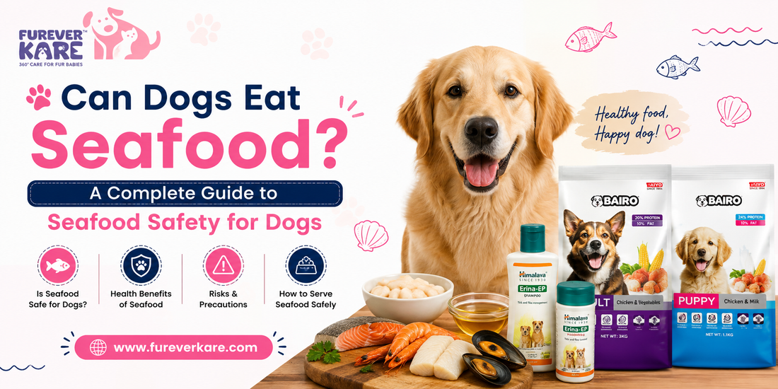 can dogs eat seafood