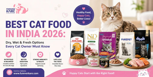 best cat food in India