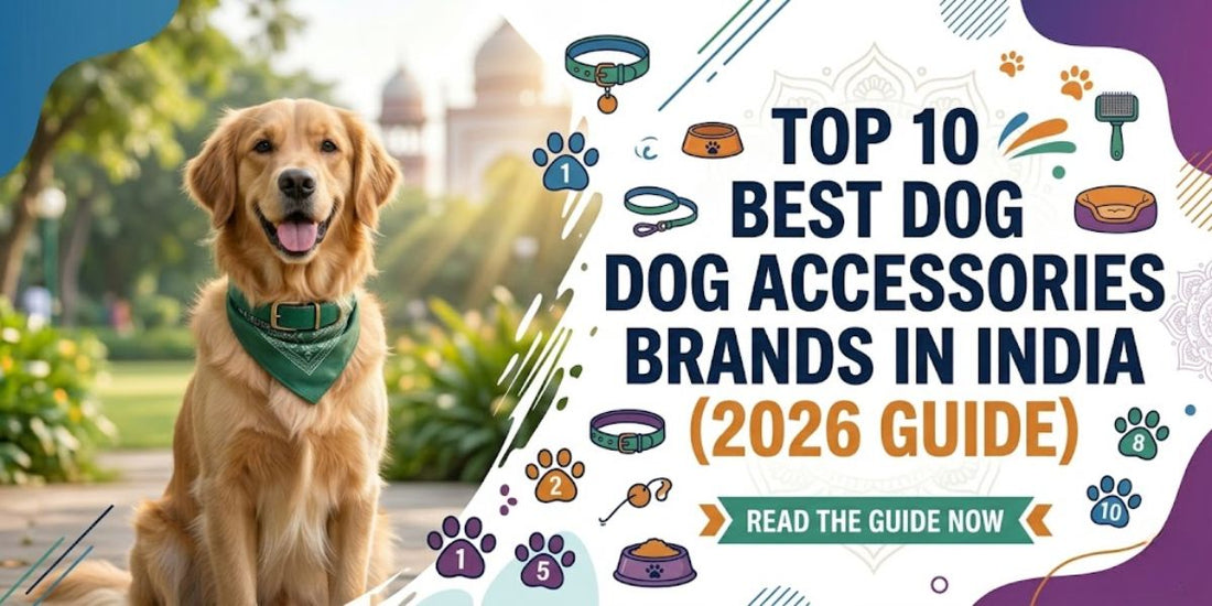 Best Dog Accessories Brands in India