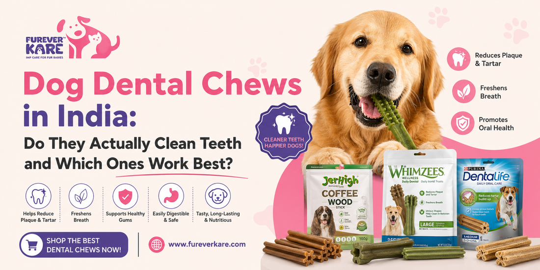 dental chews for dogs