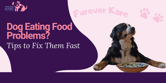 Dog Eating Food Problems