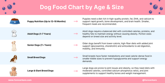 Dog Food Chart by Age & Size