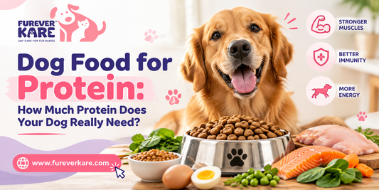 dog food for protein