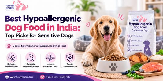 hypoallergenic dog food india