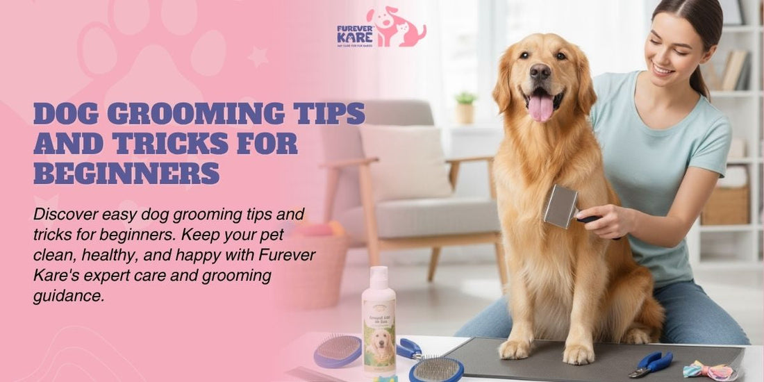 Dog Grooming Tips