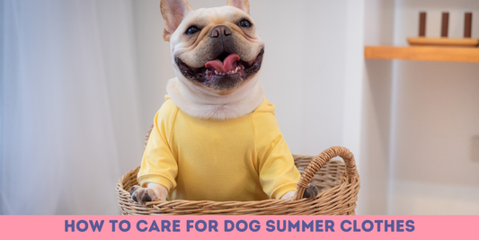 Dog Summer Clothes