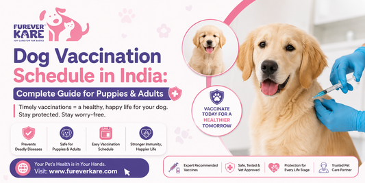 dog vaccination schedule india