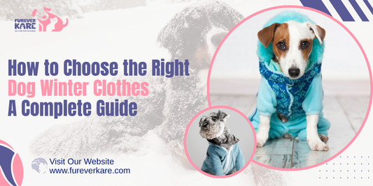 Dog Winter Clothes
