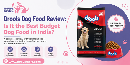 drools dog food review