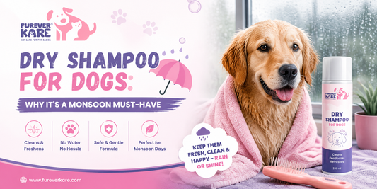 dry shampoo for dogs