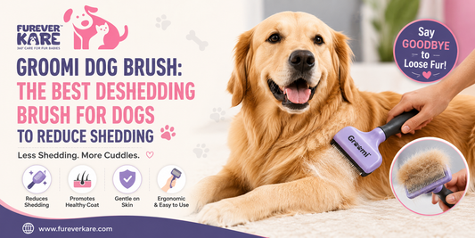 groomi dog brush