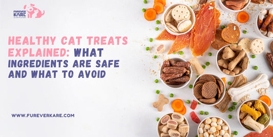 Healthy Cat Treats Explained