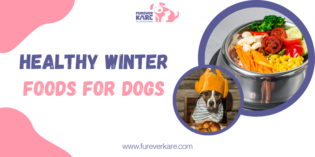 Winter Foods for Dogs