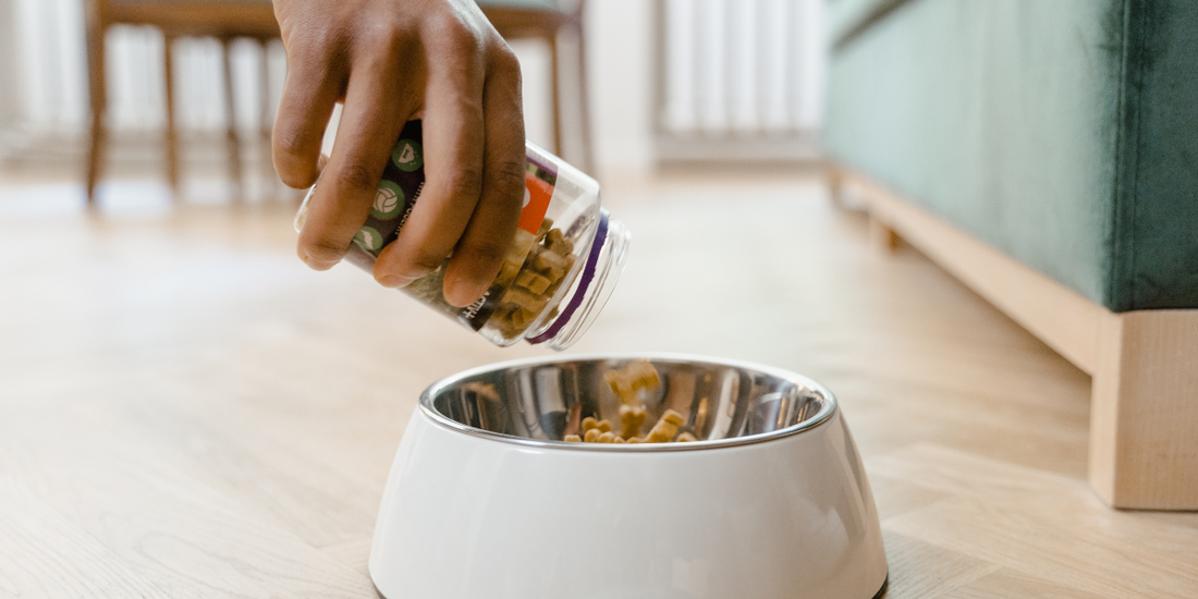 High Protein Dog Foods