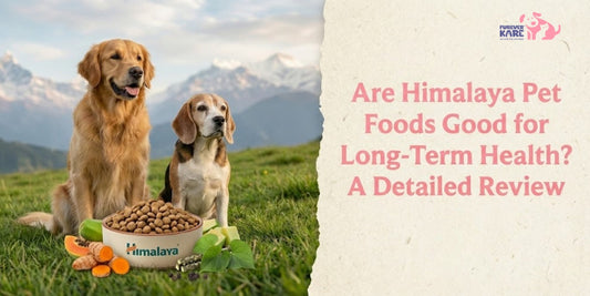 Are Himalaya Pet Foods Good for Long-Term Health