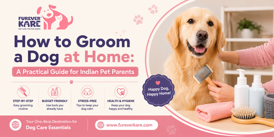 how to groom a dog at home