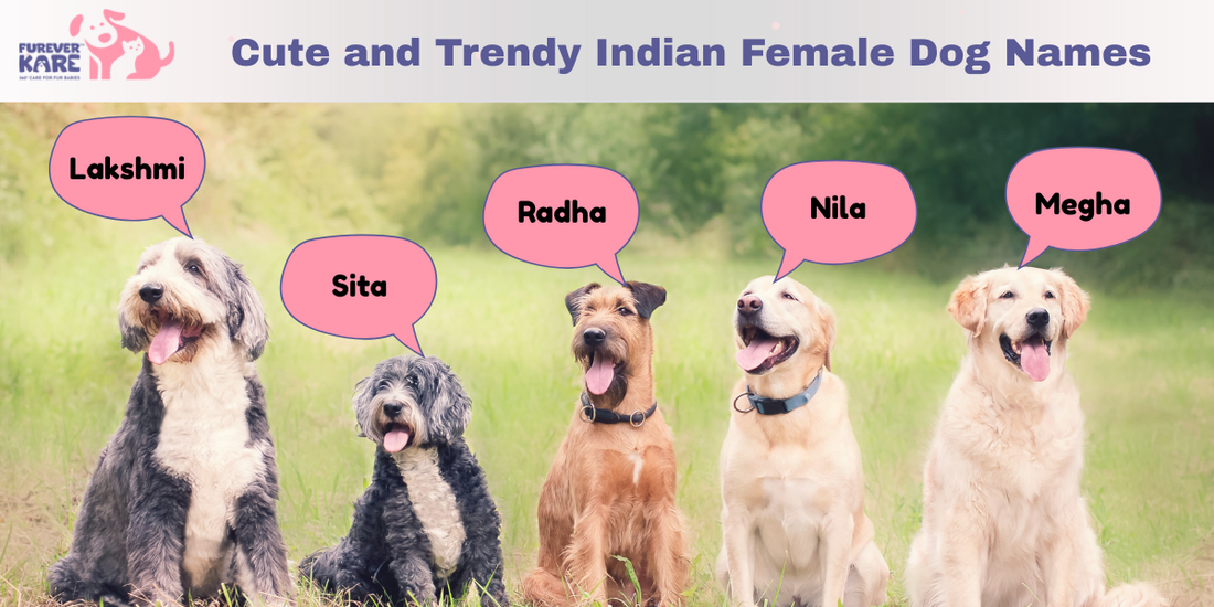 indian female dog names