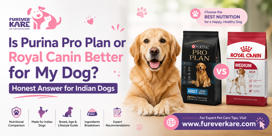 purina pro plan or royal canin